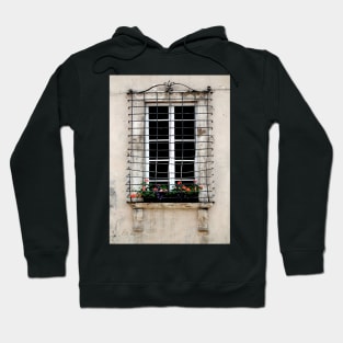 Renaissance Palazzo Window Hoodie